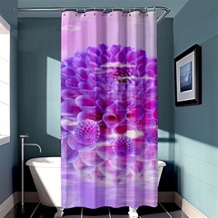 Dahlia Blossom Bloom Dahlias Fall Shower Curtain 36  X 72  (stall)  by danenraven