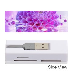 Dahlia Blossom Bloom Dahlias Fall Memory Card Reader (stick) by danenraven