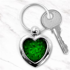 Green-rod-shaped-bacteria Key Chain (heart) by Salman4z