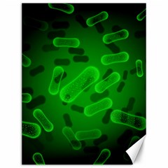 Green-rod-shaped-bacteria Canvas 12  X 16  by Salman4z