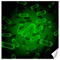 Green-rod-shaped-bacteria Canvas 20  X 20  by Salman4z