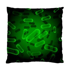 Green-rod-shaped-bacteria Standard Cushion Case (one Side) by Salman4z