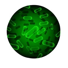 Green-rod-shaped-bacteria Mini Round Pill Box by Salman4z