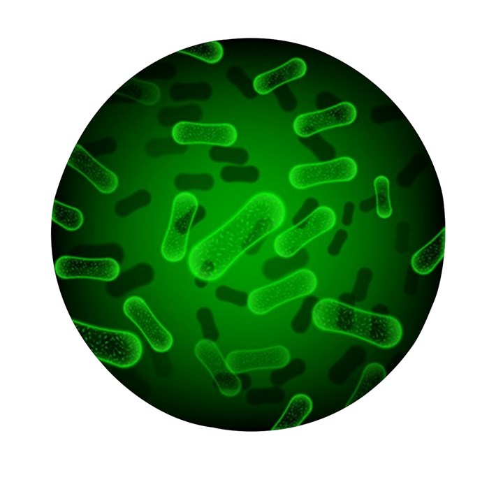 Green-rod-shaped-bacteria Mini Round Pill Box