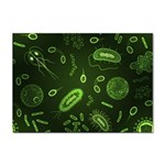 Bacteria-virus-seamless-pattern-inversion Sticker A4 (10 pack) Front