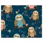 Seamless-pattern-owls-dreaming Two Sides Premium Plush Fleece Blanket (Medium) 60 x50  Blanket Front