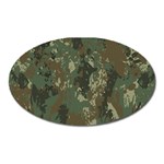 Camouflage-splatters-background Oval Magnet Front