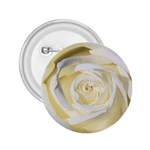 White Roses Flowers Plant Romance Blossom Bloom Nature Flora Petals 2.25  Buttons Front