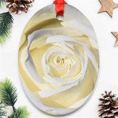 White Roses Flowers Plant Romance Blossom Bloom Nature Flora Petals Ornament (oval) by pakminggu