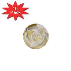 White Roses Flowers Plant Romance Blossom Bloom Nature Flora Petals 1  Mini Buttons (10 Pack)  by pakminggu