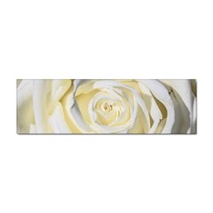 White Roses Flowers Plant Romance Blossom Bloom Nature Flora Petals Sticker Bumper (10 Pack) by pakminggu