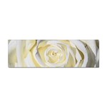 White Roses Flowers Plant Romance Blossom Bloom Nature Flora Petals Sticker Bumper (100 pack) Front