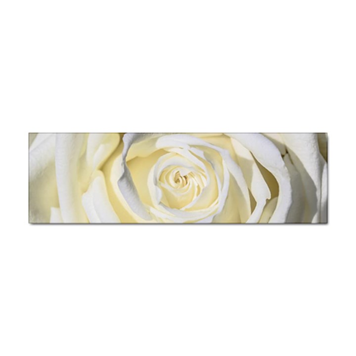 White Roses Flowers Plant Romance Blossom Bloom Nature Flora Petals Sticker Bumper (100 pack)