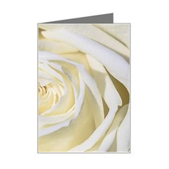 White Roses Flowers Plant Romance Blossom Bloom Nature Flora Petals Mini Greeting Card by pakminggu