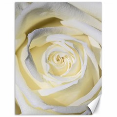 White Roses Flowers Plant Romance Blossom Bloom Nature Flora Petals Canvas 18  X 24  by pakminggu