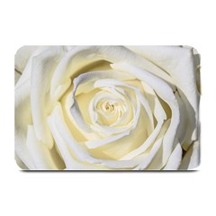 White Roses Flowers Plant Romance Blossom Bloom Nature Flora Petals Plate Mats by pakminggu