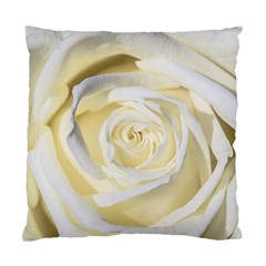 White Roses Flowers Plant Romance Blossom Bloom Nature Flora Petals Standard Cushion Case (one Side) by pakminggu