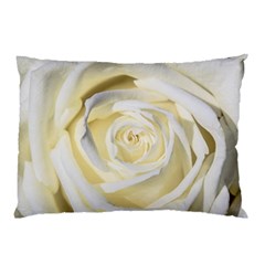 White Roses Flowers Plant Romance Blossom Bloom Nature Flora Petals Pillow Case by pakminggu