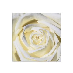 White Roses Flowers Plant Romance Blossom Bloom Nature Flora Petals Satin Bandana Scarf 22  X 22  by pakminggu