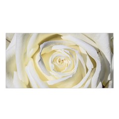 White Roses Flowers Plant Romance Blossom Bloom Nature Flora Petals Satin Shawl 45  X 80  by pakminggu