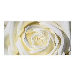 White Roses Flowers Plant Romance Blossom Bloom Nature Flora Petals Satin Wrap 35  X 70  by pakminggu