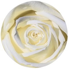 White Roses Flowers Plant Romance Blossom Bloom Nature Flora Petals Wooden Bottle Opener (round)