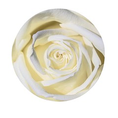 White Roses Flowers Plant Romance Blossom Bloom Nature Flora Petals Mini Round Pill Box (pack Of 3) by pakminggu