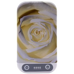 White Roses Flowers Plant Romance Blossom Bloom Nature Flora Petals Sterilizers by pakminggu