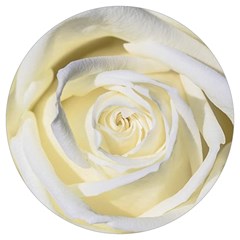 White Roses Flowers Plant Romance Blossom Bloom Nature Flora Petals Round Trivet by pakminggu