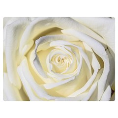 White Roses Flowers Plant Romance Blossom Bloom Nature Flora Petals Premium Plush Fleece Blanket (extra Small) by pakminggu