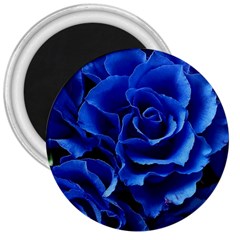 Blue Roses Flowers Plant Romance Blossom Bloom Nature Flora Petals 3  Magnets by pakminggu