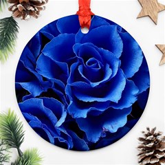 Blue Roses Flowers Plant Romance Blossom Bloom Nature Flora Petals Ornament (round) by pakminggu