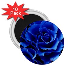 Blue Roses Flowers Plant Romance Blossom Bloom Nature Flora Petals 2 25  Magnets (10 Pack)  by pakminggu