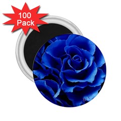 Blue Roses Flowers Plant Romance Blossom Bloom Nature Flora Petals 2 25  Magnets (100 Pack)  by pakminggu