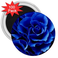 Blue Roses Flowers Plant Romance Blossom Bloom Nature Flora Petals 3  Magnets (100 Pack) by pakminggu