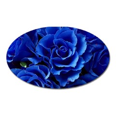 Blue Roses Flowers Plant Romance Blossom Bloom Nature Flora Petals Oval Magnet by pakminggu