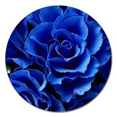 Blue Roses Flowers Plant Romance Blossom Bloom Nature Flora Petals Magnet 5  (round) by pakminggu