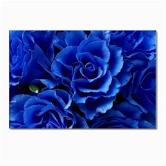 Blue Roses Flowers Plant Romance Blossom Bloom Nature Flora Petals Postcard 4 x 6  (pkg Of 10) by pakminggu