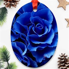 Blue Roses Flowers Plant Romance Blossom Bloom Nature Flora Petals Oval Ornament (two Sides) by pakminggu