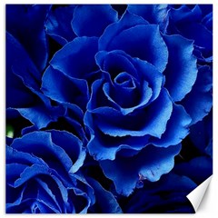 Blue Roses Flowers Plant Romance Blossom Bloom Nature Flora Petals Canvas 12  X 12  by pakminggu