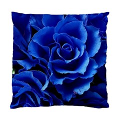 Blue Roses Flowers Plant Romance Blossom Bloom Nature Flora Petals Standard Cushion Case (one Side) by pakminggu