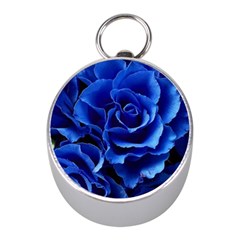 Blue Roses Flowers Plant Romance Blossom Bloom Nature Flora Petals Mini Silver Compasses by pakminggu