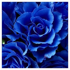 Blue Roses Flowers Plant Romance Blossom Bloom Nature Flora Petals Lightweight Scarf  by pakminggu