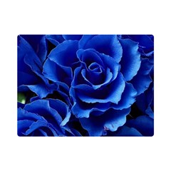 Blue Roses Flowers Plant Romance Blossom Bloom Nature Flora Petals Premium Plush Fleece Blanket (mini) by pakminggu