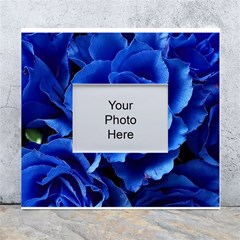 Blue Roses Flowers Plant Romance Blossom Bloom Nature Flora Petals White Wall Photo Frame 5  X 7  by pakminggu