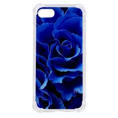 Blue Roses Flowers Plant Romance Blossom Bloom Nature Flora Petals Iphone Se by pakminggu