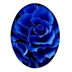 Blue Roses Flowers Plant Romance Blossom Bloom Nature Flora Petals Oval Glass Fridge Magnet (4 Pack) by pakminggu