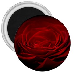 Rose Red Rose Red Flower Petals Waves Glow 3  Magnets by pakminggu