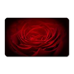 Rose Red Rose Red Flower Petals Waves Glow Magnet (rectangular) by pakminggu