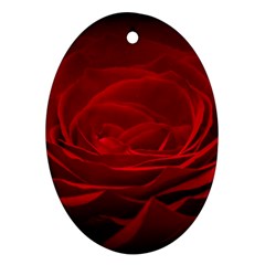 Rose Red Rose Red Flower Petals Waves Glow Oval Ornament (two Sides) by pakminggu